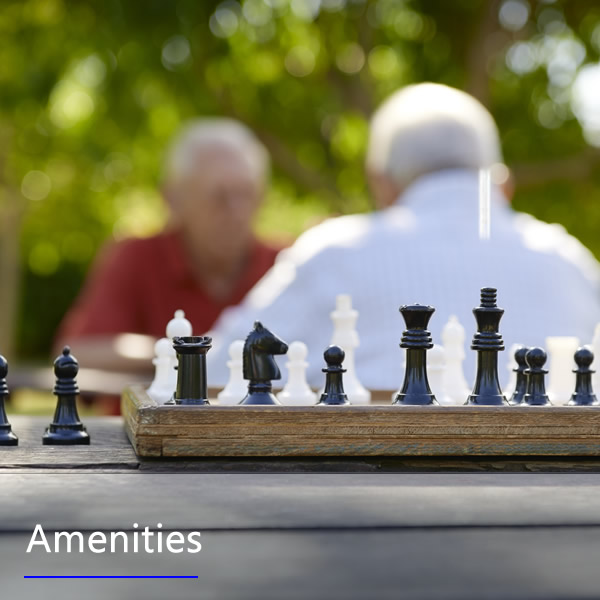 Features and Amenities